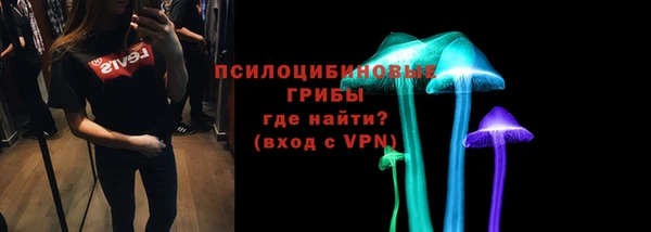 дмт Белокуриха